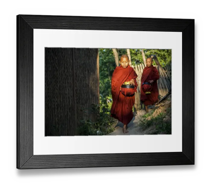 Framed Print : Buddhist novices with begging bowls at their morning begging tour