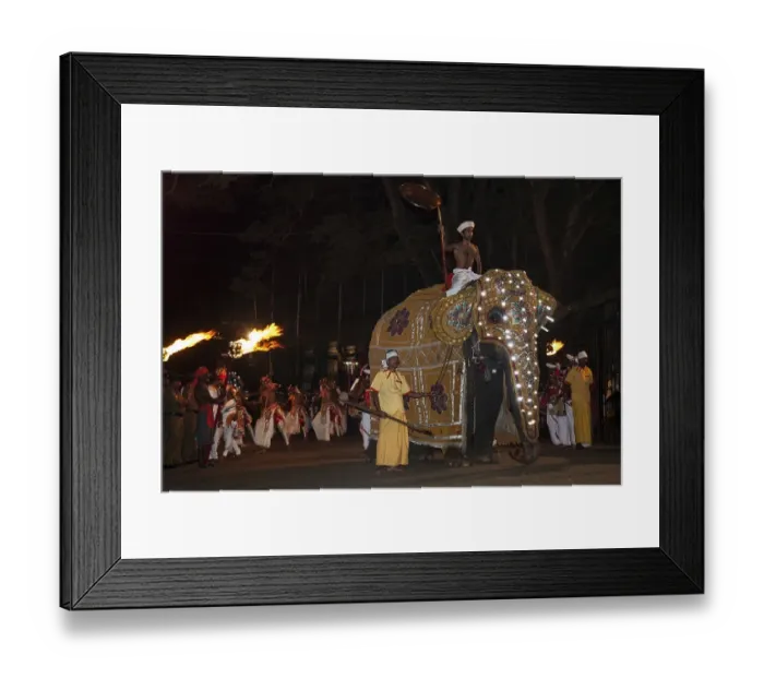 Framed Print : Decorated elephant, Buddhist festival Esala Perahera