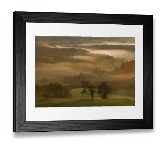Framed Print : Forest in autumn with mist, Kulm bei Weiz
