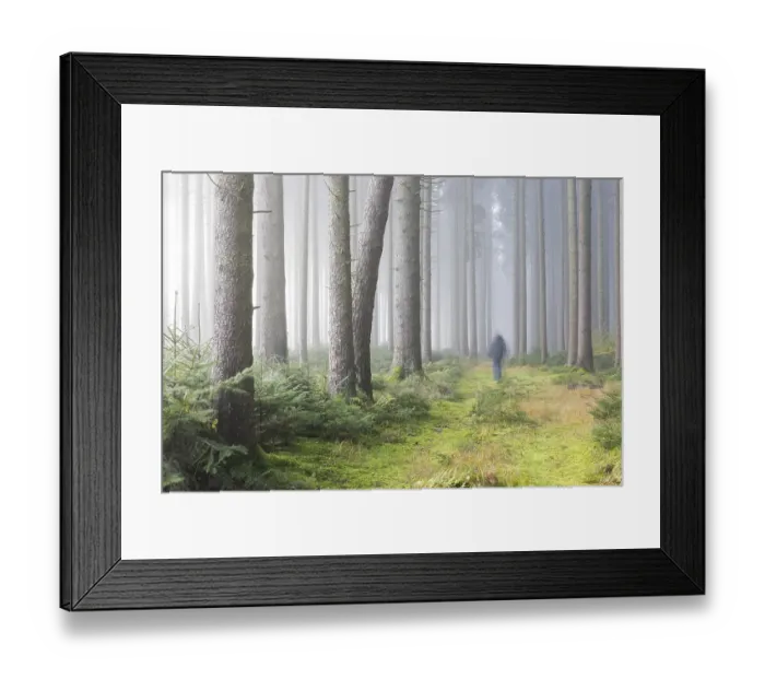 Framed Print : Fog in the forest, Unterallgaeu District
