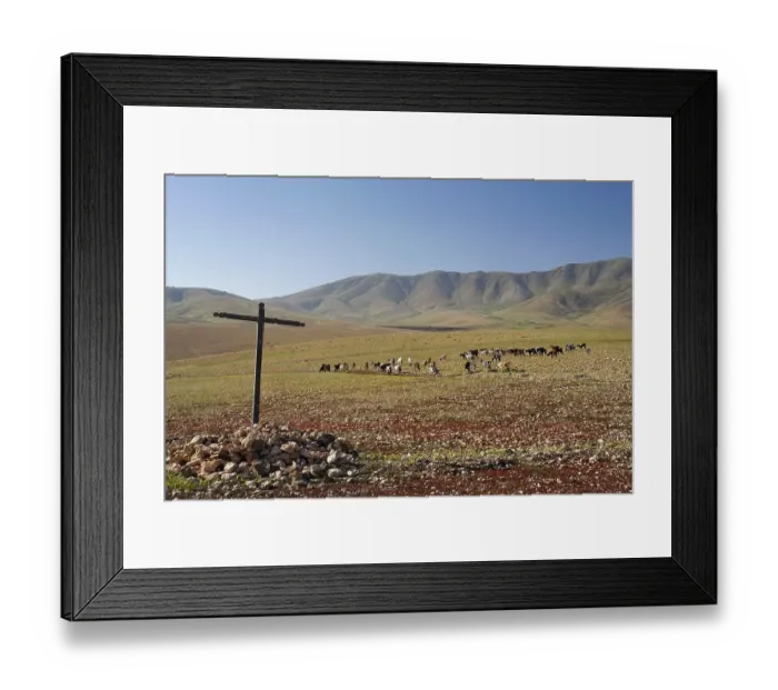 Framed Print : Landscape with goats near Tuineje