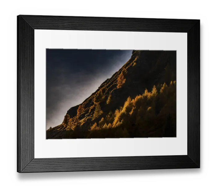Framed Print : Autumn mountain larch forest (Larix decidua) with light and shade