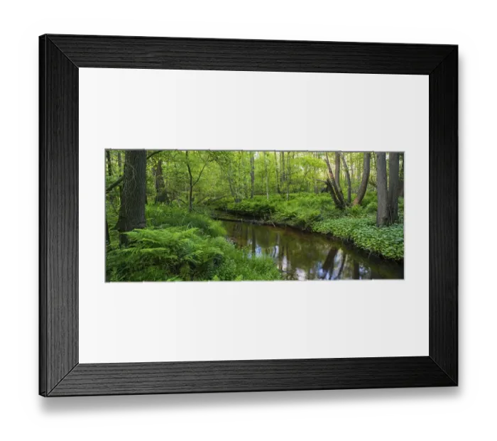 Framed Print : Bach, course of the Endeler, Erlenbruch