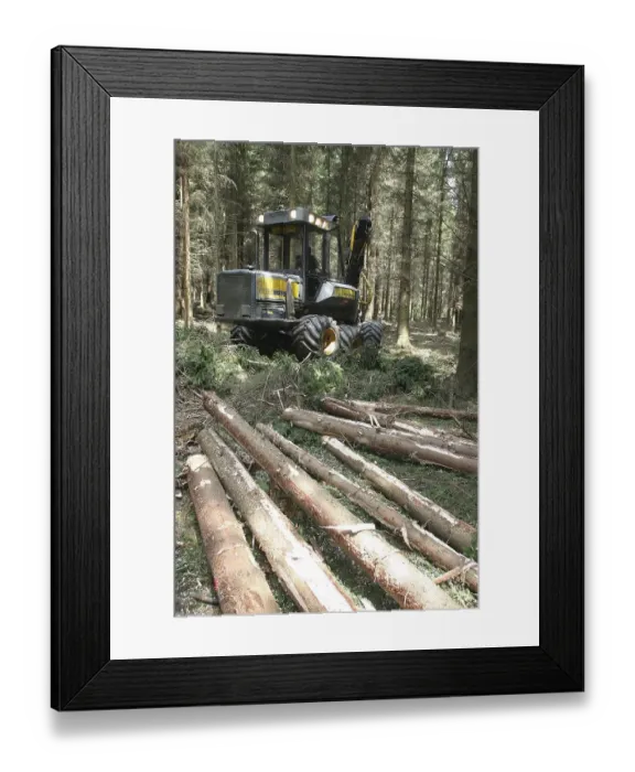 Framed Print : Lumberman working with a Harvester in the forest