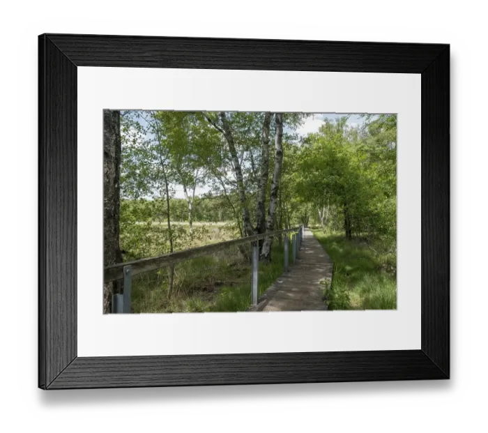 Framed Print : Fuerstenkuhle nature conservation and FFH area