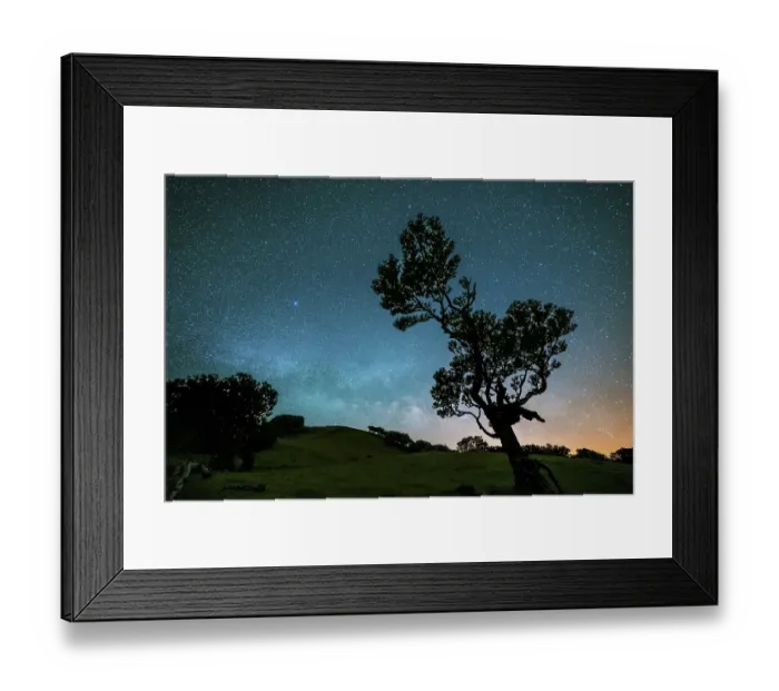Framed Print : Tree in Fanal Forest, Blue Milky Way and Starry Sky at Night
