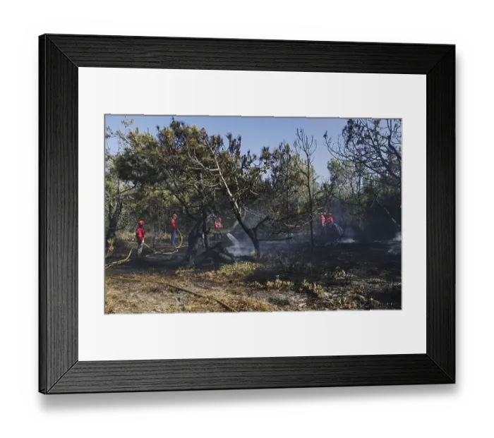 Framed Print : Fire brigade putting out a bush fire Framed Print : Fire brigade putting out a bush fire