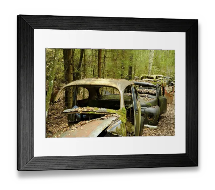 Framed Print : Scrap cars in a row in the forest Framed Print : Scrap cars in a row in the forest