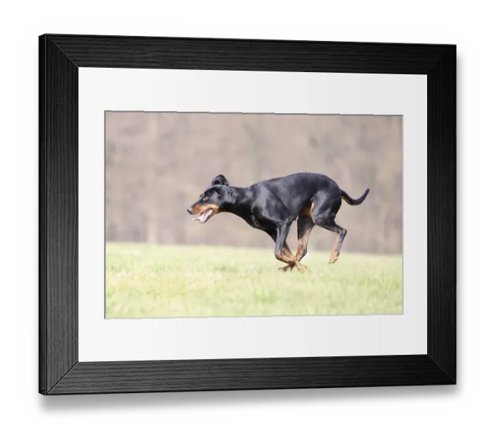 Framed Print : Brandlbracke