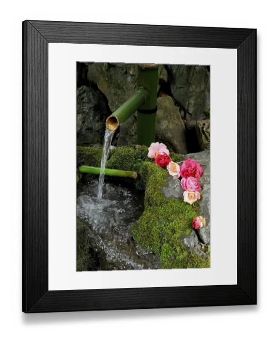 Framed Print : Fountain with mossy stones and camellia flowers