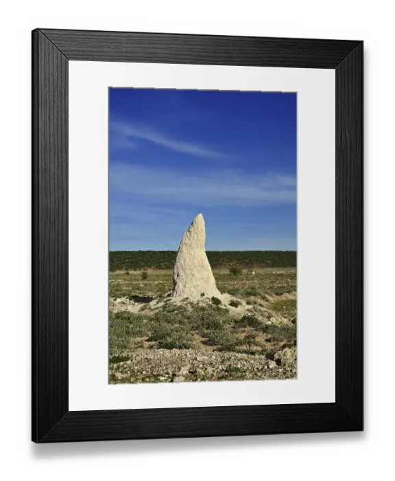 Framed Print : Termite mound, Etosha National Park