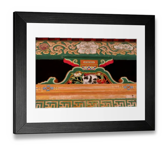 Framed Print : Nemuri-neko, sleeping cat, slumber cat Framed Print : Nemuri-neko, sleeping cat, slumber cat