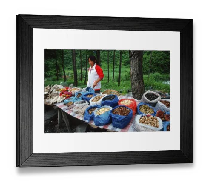Framed Print : Market stall with mushrooms, Sichuan, China, Asia