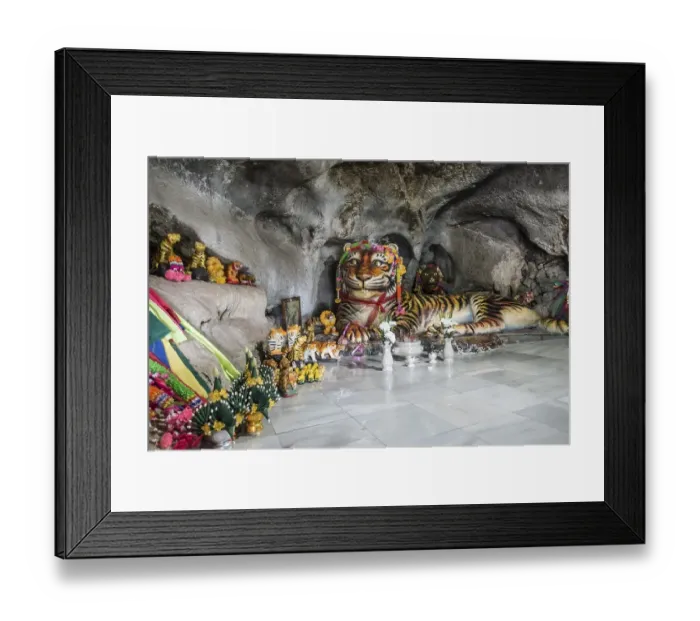 Framed Print : Worship of a tiger sculpture in the Tiger Cave