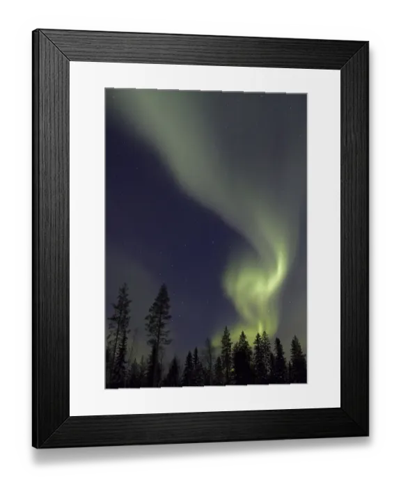 Framed Print : Aurora Borealis, over coniferous forest at night Framed Print : Aurora Borealis, over coniferous forest at night