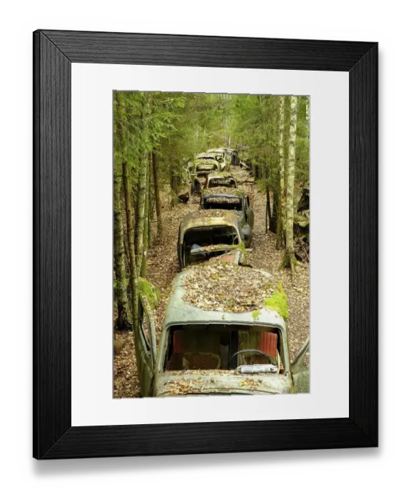 Framed Print : Scrap cars in a row in the forest