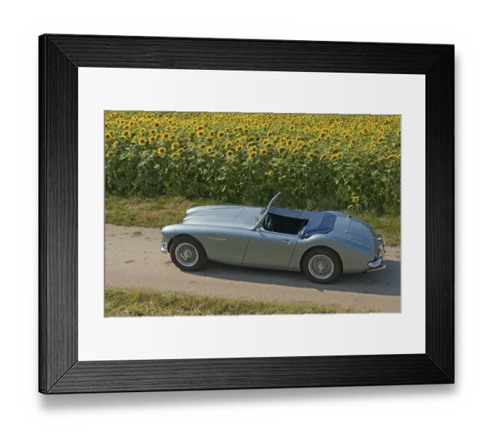Framed Print : Austin-Healey 3000, built in 1959 Framed Print : Austin-Healey 3000, built in 1959