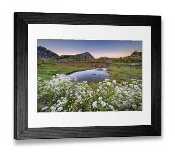 Framed Print : Flower meadow in front of moorland