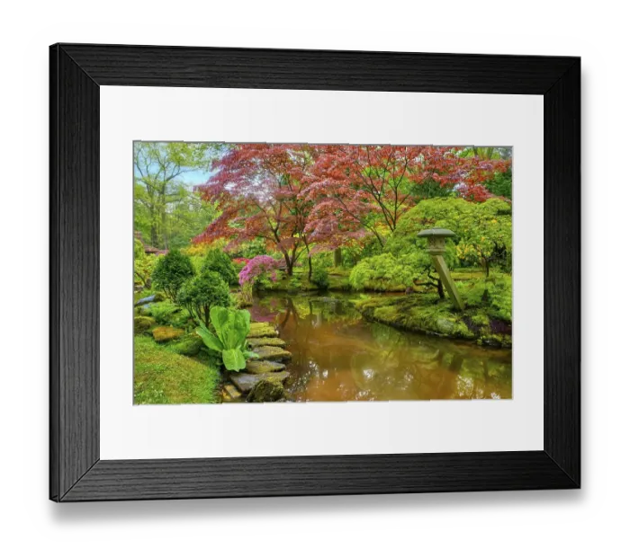 Framed Print : Little Japanese garden after rain Framed Print : Little Japanese garden after rain