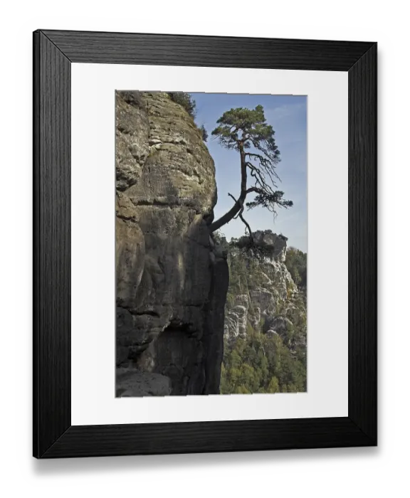 Framed Print : The Wehlkiefer on the Bastei / Elbsandsteingebirge / Saxonia / GermanyThe ?Wehlkiefer Framed Print : The Wehlkiefer on the Bastei / Elbsandsteingebirge / Saxonia / GermanyThe ?Wehlkiefer