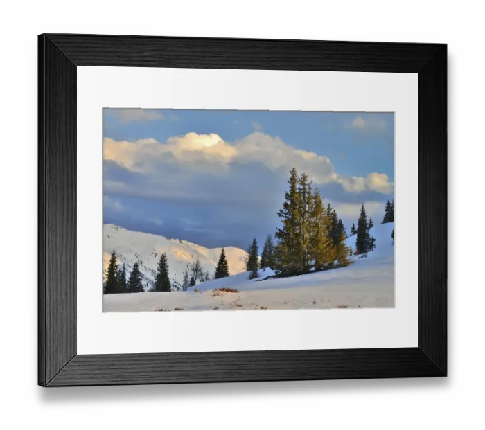 Framed Print : Winter landscape, snow-covered mountains with spruce trees