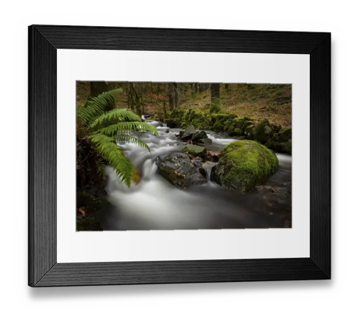 Framed Print : Creek course with mossy stones flows through autumn forest Framed Print : Creek course with mossy stones flows through autumn forest