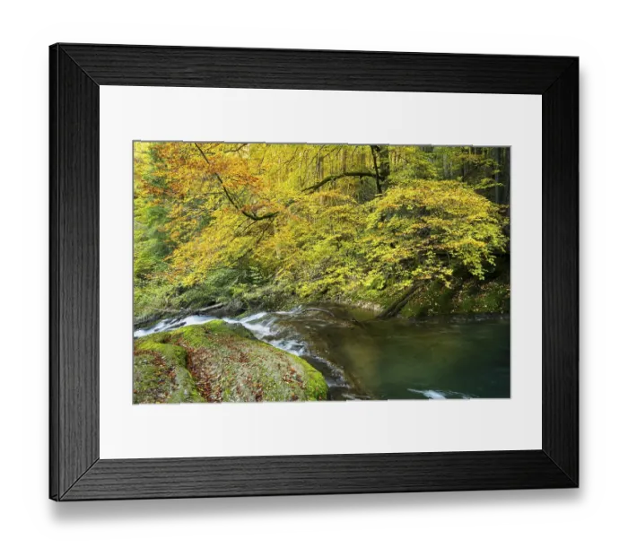 Framed Print : The Eistobel nature reserve, a gorge of the Obere Argen river Framed Print : The Eistobel nature reserve, a gorge of the Obere Argen river