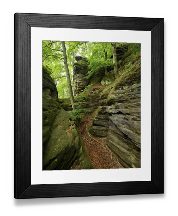 Framed Print : Large sandstone rocks in the beech forest Framed Print : Large sandstone rocks in the beech forest