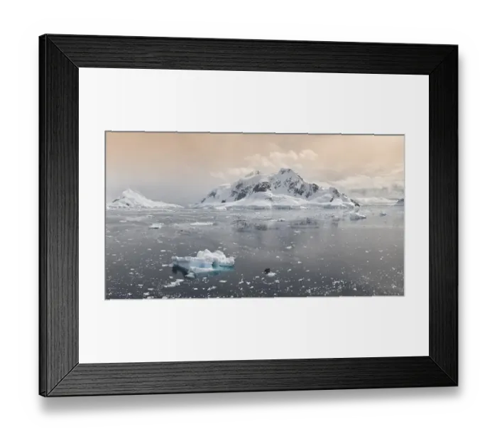 Framed Print : Bahia Paraiso, Paradise Bay, Antarctic Peninsula
