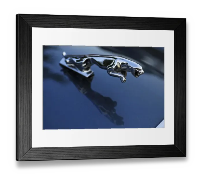 Framed Print : Radiator mascot of a Jaguar sedan Framed Print : Radiator mascot of a Jaguar sedan