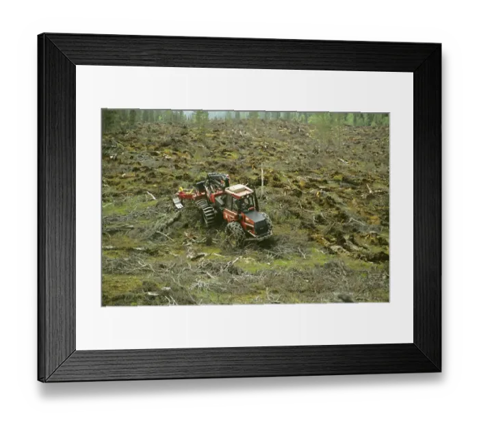 Framed Print : Timber industry, caterpillar at work on clear cut