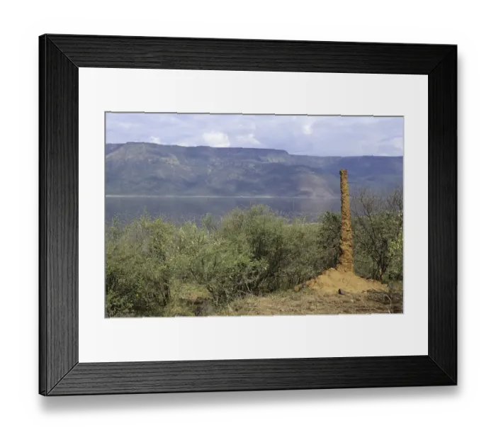 Framed Print : Termite mound, vertical column Framed Print : Termite mound, vertical column