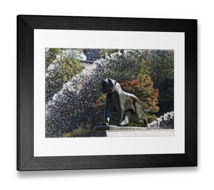 Framed Print : Tiger, sculpture by Philip Hart Framed Print : Tiger, sculpture by Philip Hart