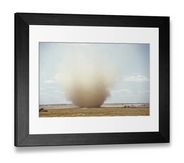 Framed Print : White-tailed gnu (connochaetes gnou) Framed Print : White-tailed gnu (connochaetes gnou)