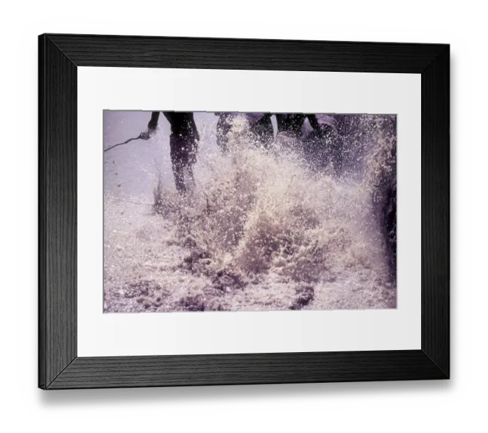 Framed Print : Splashing mud water in Maramadi or Kalappoottu is a type of cattle race conducted in Chithali near Palakkad