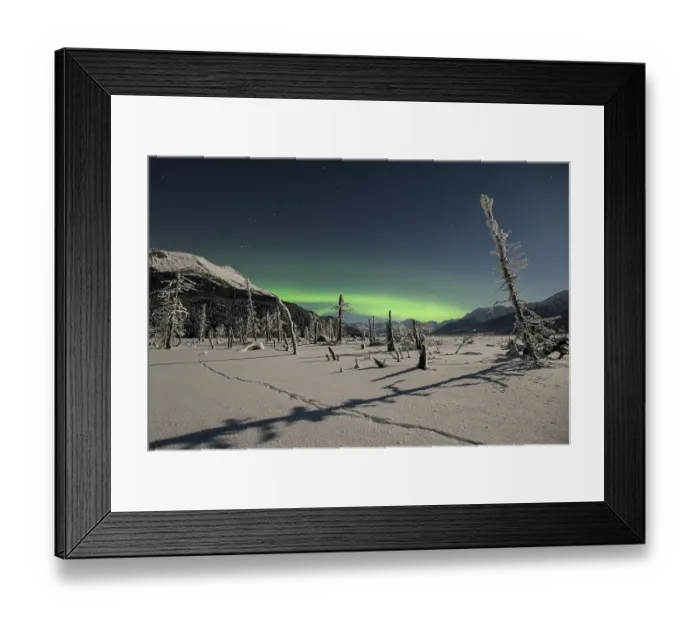 Framed Print : Aurora borealis, moonlight and coyote tracks at Twenty Mile River Framed Print : Aurora borealis, moonlight and coyote tracks at Twenty Mile River