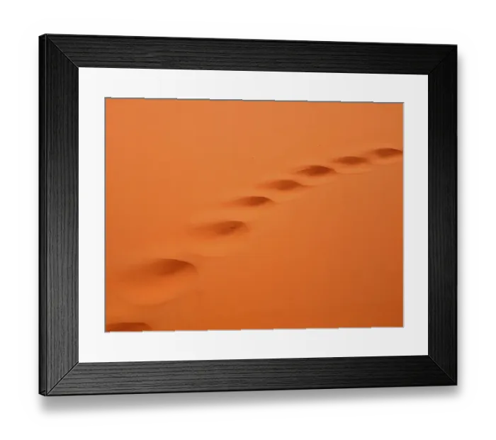Framed Print : Camel tracks in the desert sand
