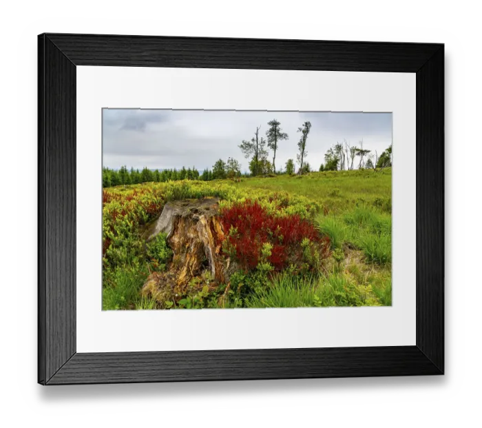 Framed Print : Landscape on the Kahler Asten, mountain