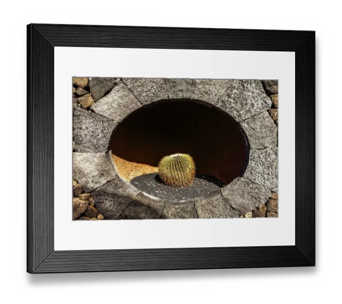 Framed Print : 2016, Guatiza, Lanzarote, Jardin de Cactus by Cesar Manrique