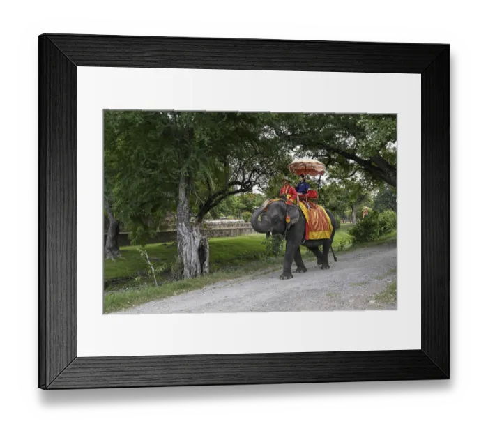 Framed Print : Tourist on a riding elephant near the Grand Palace
