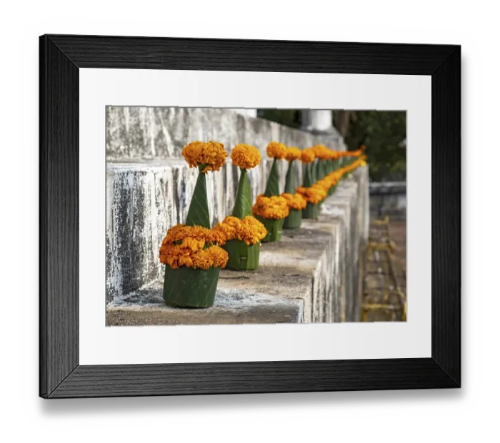 Framed Print : Orange-colored marigold flowers used to pay respect and homage to Buddha