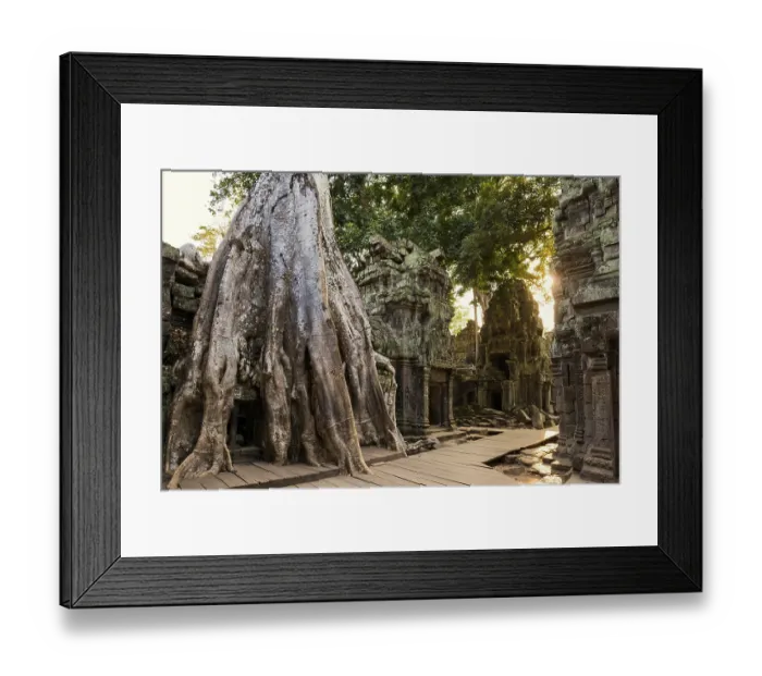 Framed Print : Ta Prohm, Angkor Wat, Angkor, UNESCO World Heritage Site