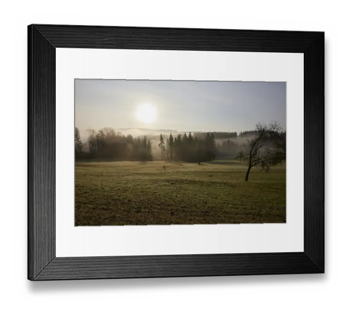 Framed Print : Landscape in the Black Forest in foggy backlight with meadow