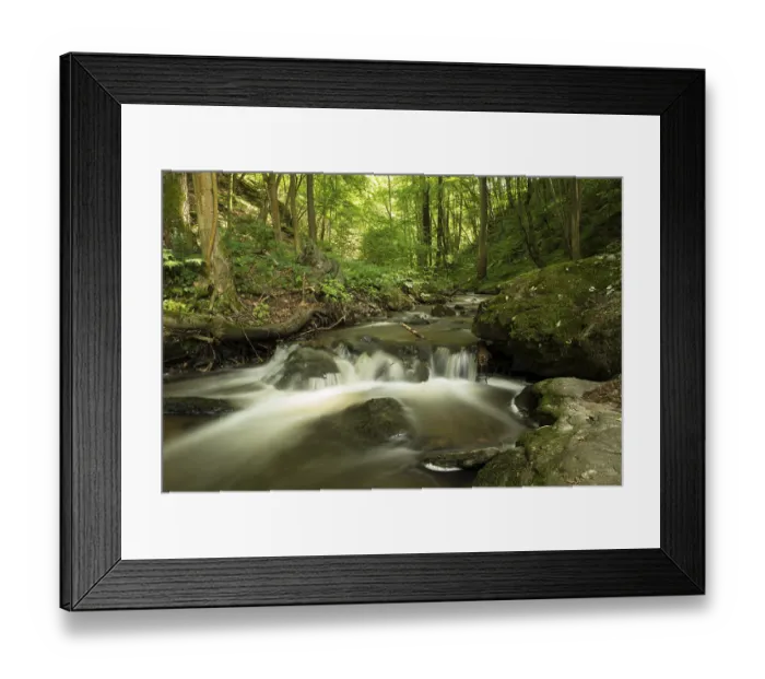 Framed Print : Kajabach stream, Thaya Valley National Park