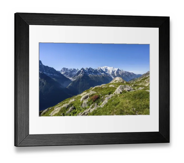 Framed Print : Mountain landscape with alpine roses