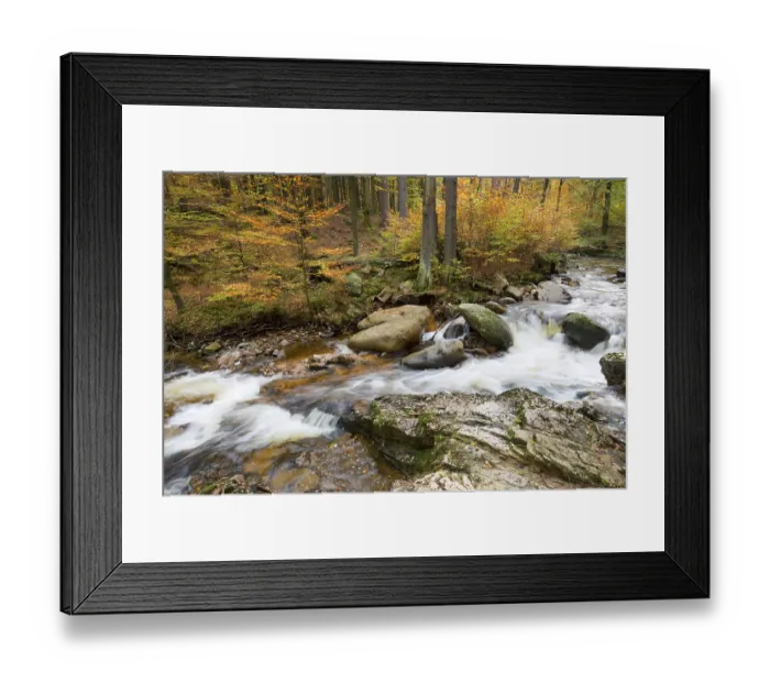 Framed Print : Mountain stream Ilse in autumn Framed Print : Mountain stream Ilse in autumn