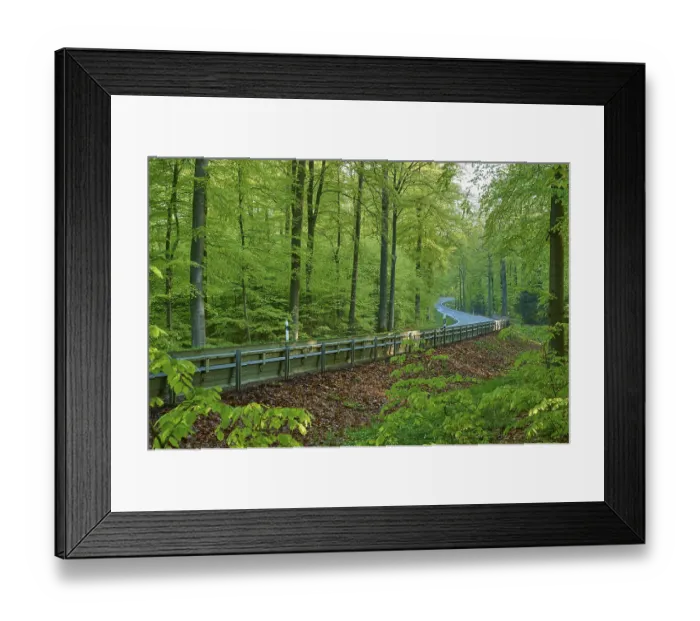 Framed Print : Country road, crash barrier, forest