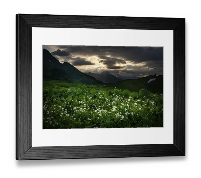 Framed Print : Summit in the morning light with dramatic clouds and anemone in the foreground