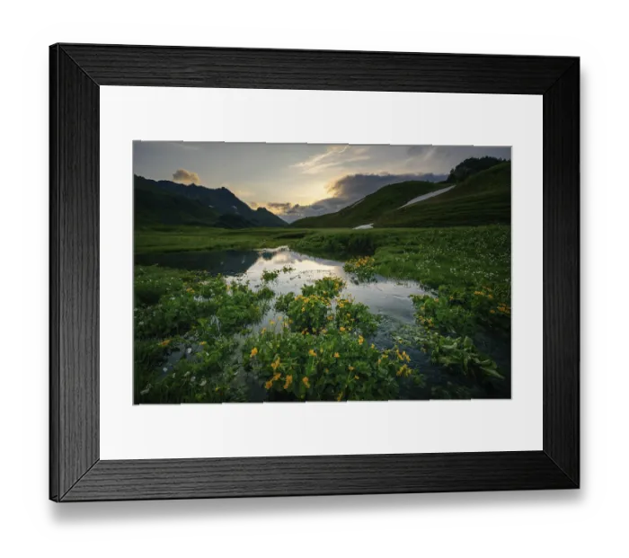 Framed Print : Summit in the morning light with dramatic clouds and marsh marigolds (Caltha) with stream in the foreground
