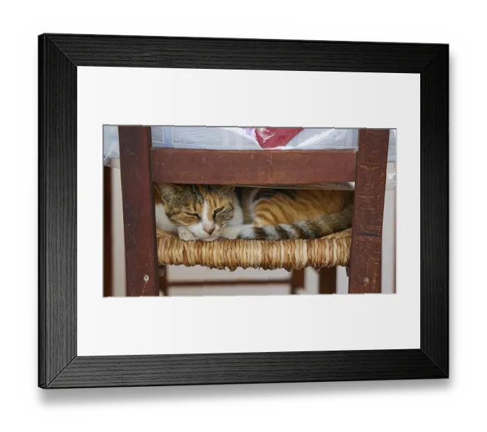 Framed Print : Patterned cat sleeping cosily on a woven chair seat under a table